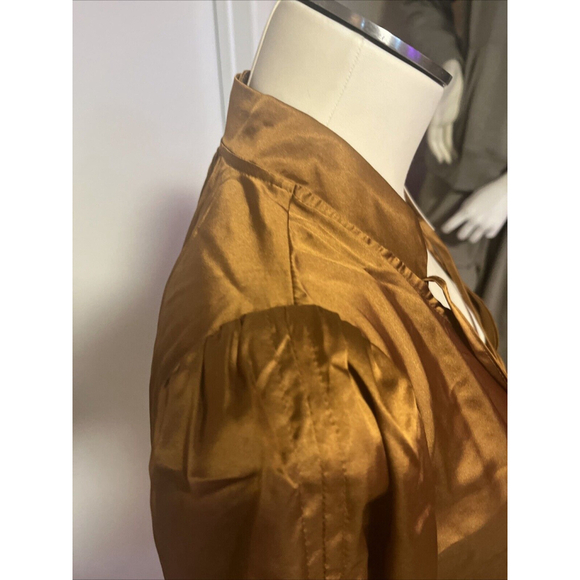 Women’s Rouched Long Sleeve Silky Soft Copper Vneck Blouse By Paparazzi - Picture 10 of 15